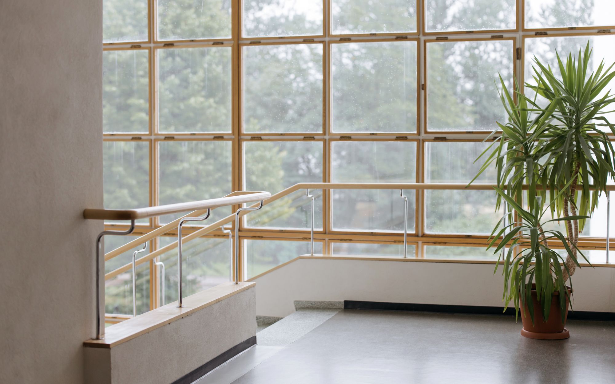 Daylit interior of a modern building